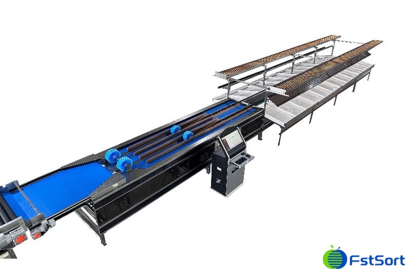 images/1753175331518la clasificadora de peso con dos líneas.jpg